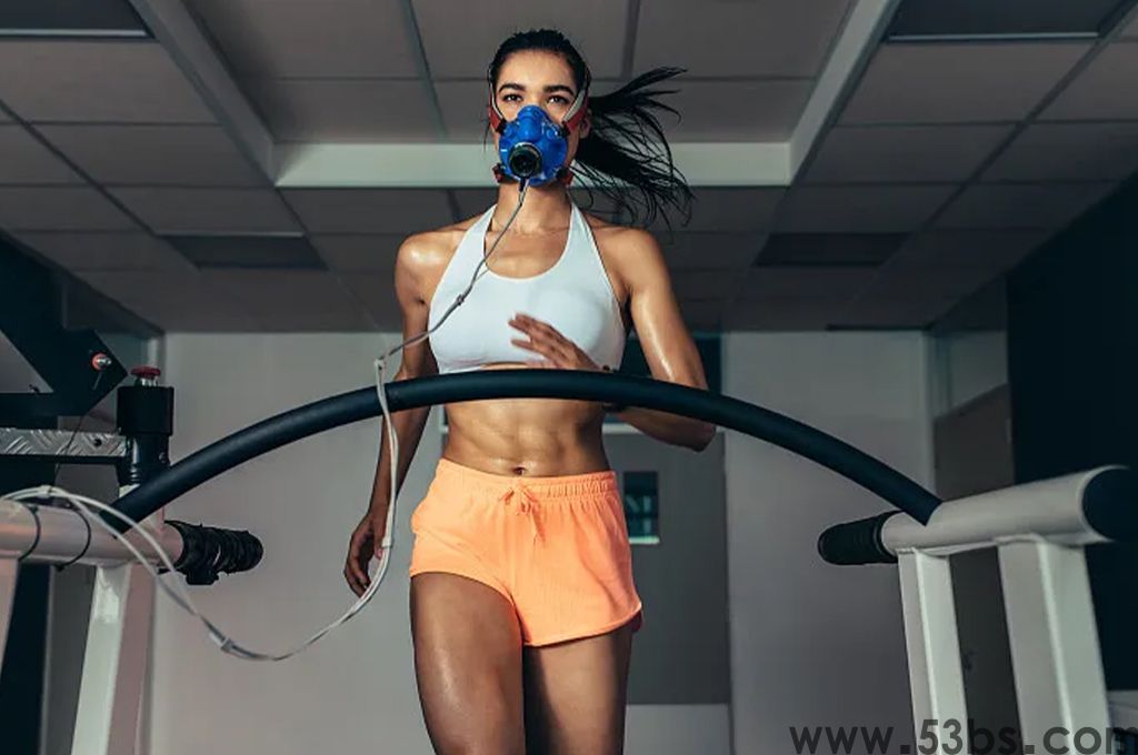 什么是体质健康测试系统(图1)