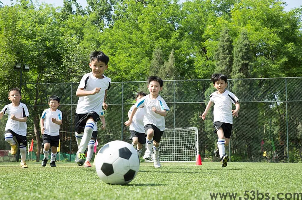 什么是体质健康测试管理系统(图1)