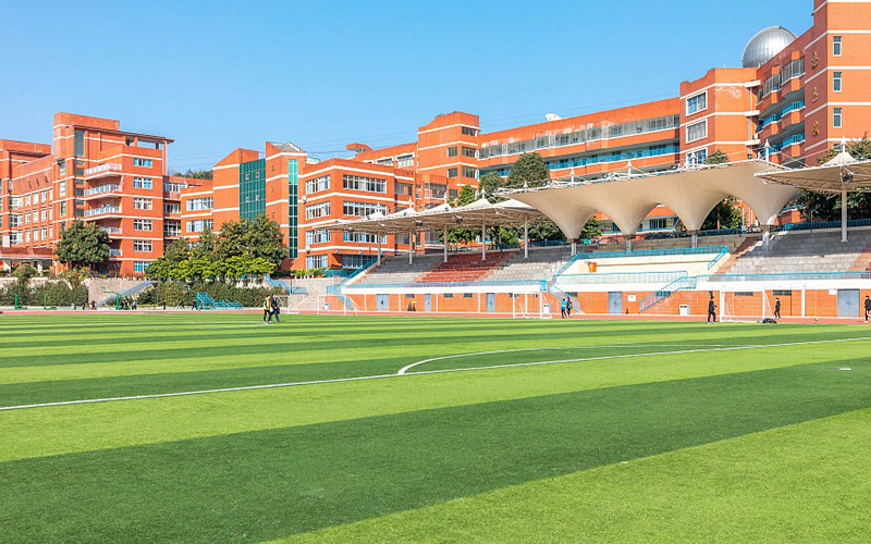 什么是大学生就业系统(图1)