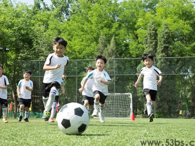 什么是体质健康测试管理系统